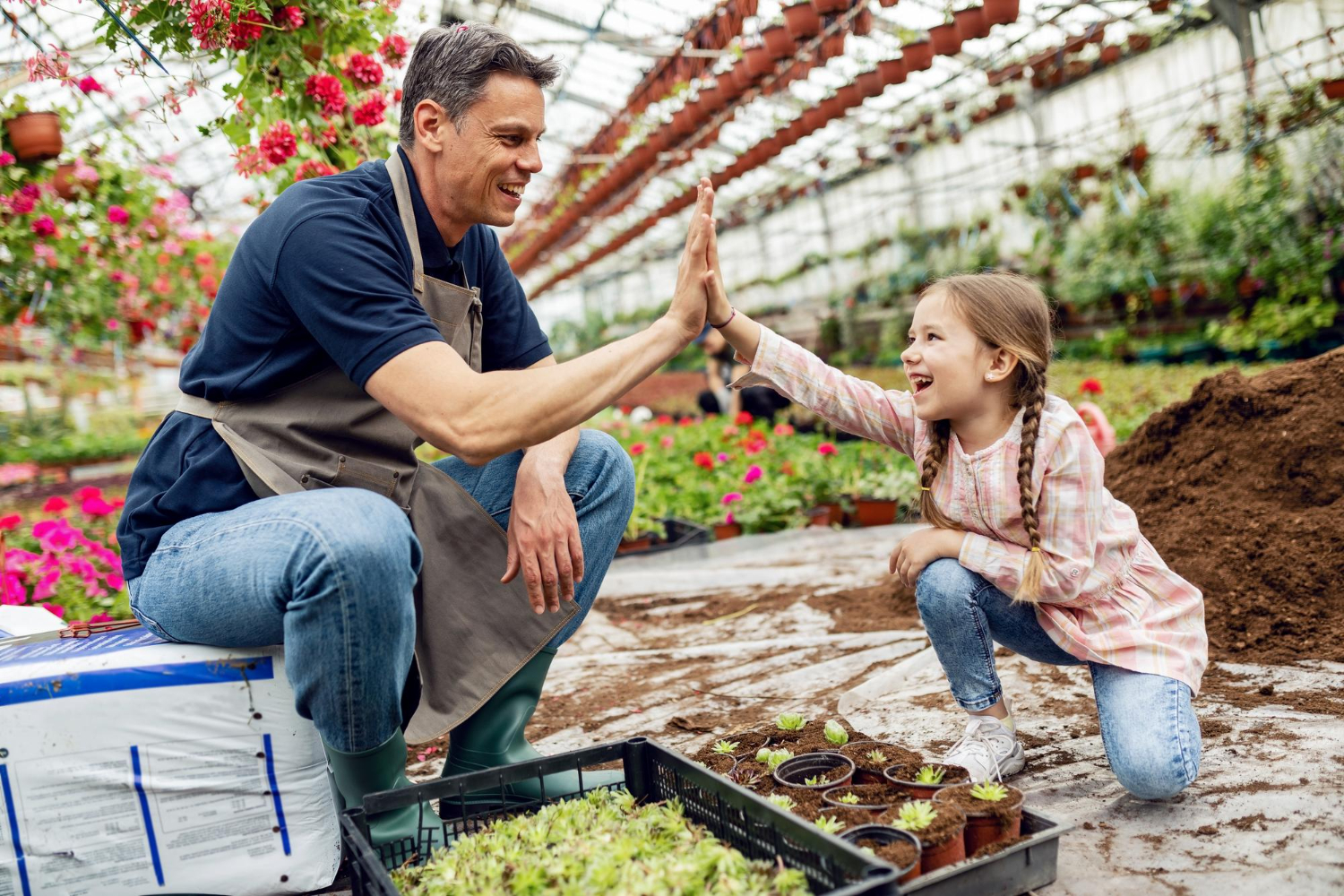 6 razones para publicar tu huerto o terreno para huerto en Gardenphy