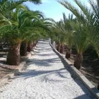 Imagen principal del huerto