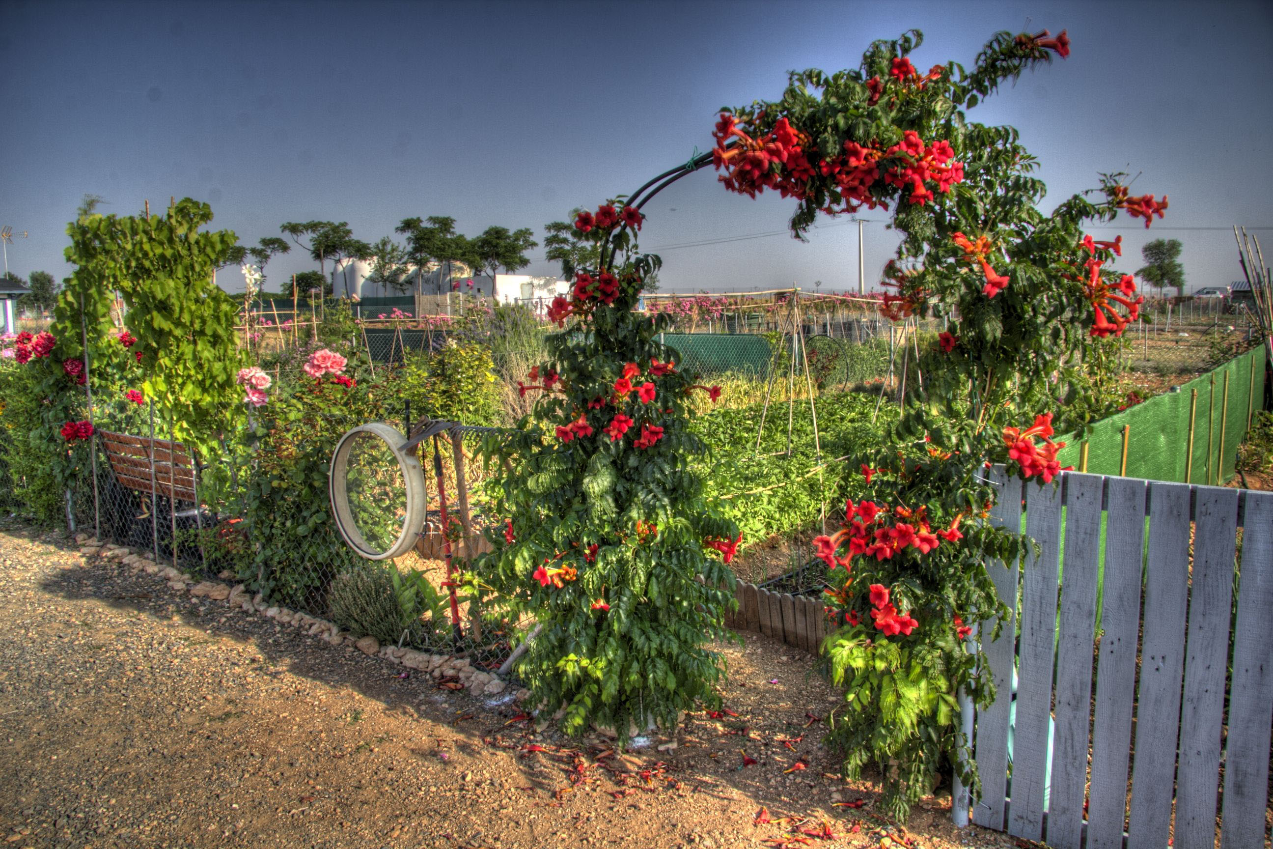 Imagen principal del huerto